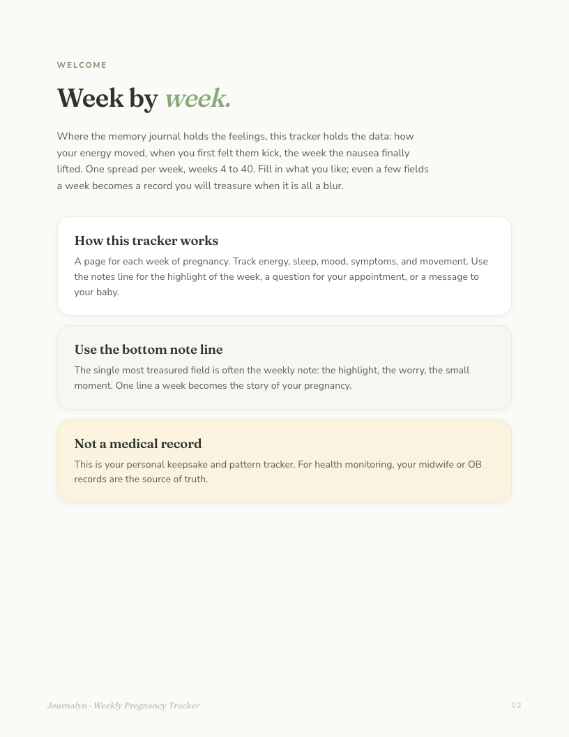 Pregnancy Memory Toolkit interior page preview 2